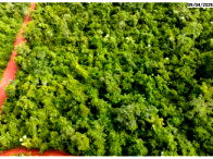 Imóvel rural com 1 hectare, área total 104.077m², desocupado
