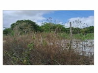 Terreno de 15.345m² em Curimatã - Pacajus/CE - Lance Inicial R$ 367.200