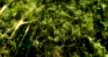 Terreno 140m² no Loteamento Vivari - Ocupado