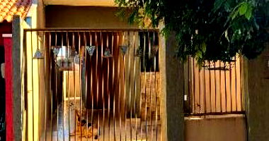 Casa com 64,03m² em Rolândia/PR