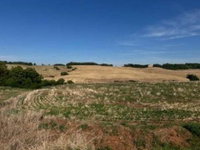 Imóvel Rural com 33.117m² em São José das Missões-RS