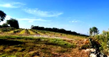 Imóvel Rural com 23,6476 Ha em Guapé-MG - Ocupado