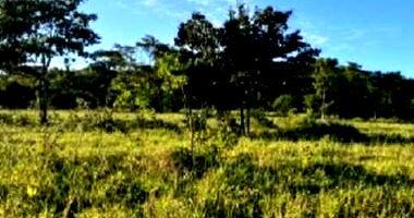 Área Rural de 25 alqueires em Anicuns/GO