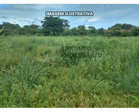 Fazenda Mucambo 159,76 hectares