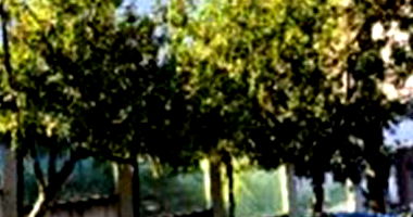 Apartamento com 1 vaga em Caxias do Sul