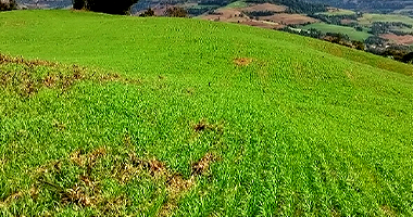 Terreno em Nonoai RS