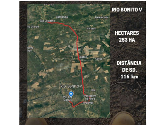 Fazenda Rio Bonito V com 253,00 hectares em São Desidério/BA