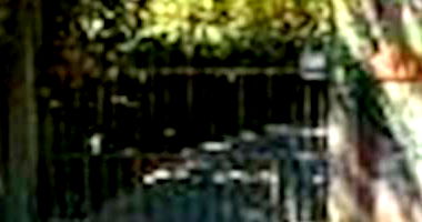 Espaçosa Casa Desocupada com 167 m² Construídos e 2293 m² Terreno