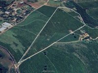 Sítio Rural com Potencial de Incorporação Residencial/Industrial