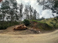 Terreno Rural com 176.250m² em Dona Emma/SC