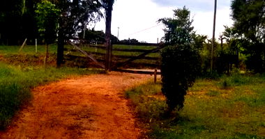 Chácara com 3 quartos, 1 suíte, 2 banheiros, piscina e 2 edículas