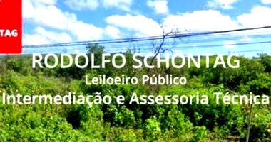 Gleba Urbana com 239.546m² em Araripina - Terreno amplo