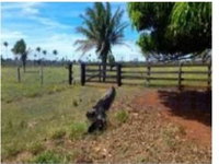 GLEBA COM ÁREA DE 63,9994ha EM COSTA MARQUES-RO