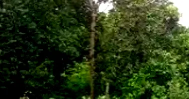 Terreno amplo de 2.352,73m² desocupado, ideal para investimento