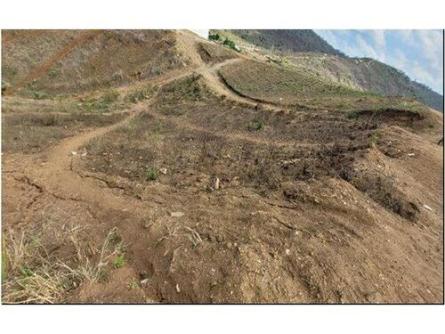 Terreno com 542,37m² em Timbaúba/PE