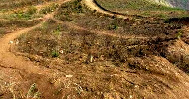 Terreno com 542,37m² em Timbaúba/PE