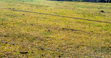 Terreno plano de 26.400m², fração ideal, sem benfeitorias