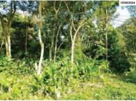 Terreno 280m² - Parte ideal de 50% - Itanhaém/SP