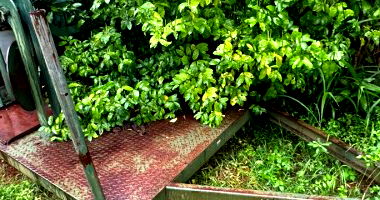 Fábrica de Farinha Móvel em Chassi Agrícola
