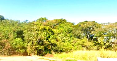 Terreno amplo em Alvorada com 8.541 m² - Oportunidade!