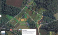Terreno rural de 24.992,59 m² em São José dos Pinhais