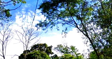 Terreno com 149,46m² em Santos/SP