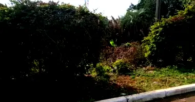 Terreno Urbano com 1.049m² em Três Passos - RS