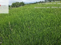 Terreno Rural com 24,20ha em Brasnorte - MT