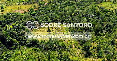 Área rural de 443,43ha em Barra do Garças/MT - Desocupada
