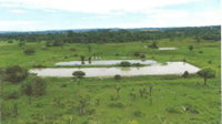Terreno rural de 34,3156 ha em Urupá/RO