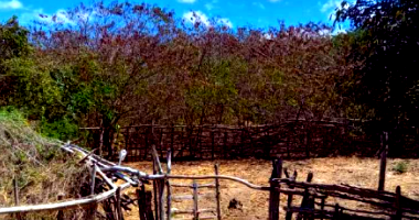 Sítio Rural com 76,25 Hectares em Santa Quitéria/CE