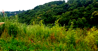 Terreno em Caxias do Sul com 554,86m²