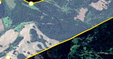 Terreno rural com galpão, casa e área construída total 1.645m²