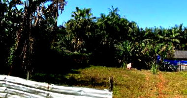 Terreno em Jaraguá do Sul - 433,68m²