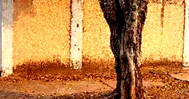 Casa Ocupada com 3 Quartos em Corumbá/MS