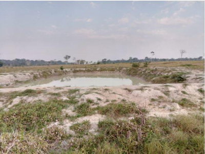 Estância Rural 28,5ha com potencial agrícola em Alta Floresta D'Oeste/RO