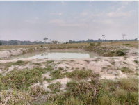 Estância Rural 28,5ha com potencial agrícola em Alta Floresta D'Oeste/RO