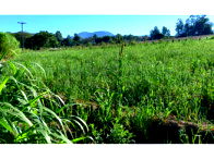 Fração de terras altas para agricultura com 10,02 hectares