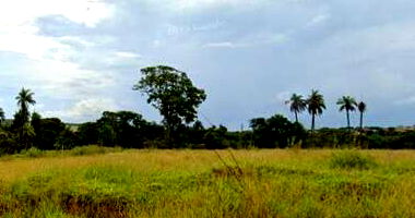 Dois Lotes de Terreno em Prudente de Morais/MG
