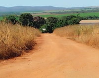 Fazenda Nossa Sra. Aparecida em Paracatu - MG