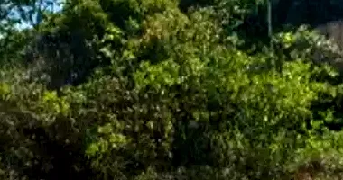 Terreno Amplo em Leilão - Distrito Industrial