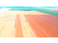 Fazenda com 535,78 hectares, benfeitorias produtivas, desocupada