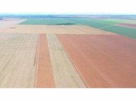 Fazenda com 535,78 hectares, benfeitorias produtivas, desocupada