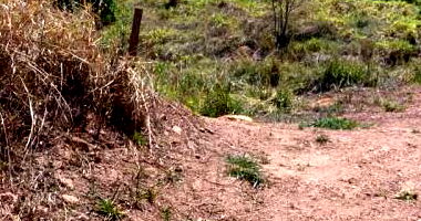 Terreno Urbano Amplo com Potencial de Construção