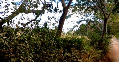 Imóvel Rural com 207ha em Cachoeira da Prata/MG