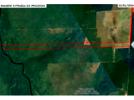Fazenda com 232,40 hectares em Brasnorte/MT