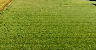 Fração Ideal de Área Rural de 47,05ha - Ocupado