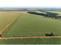 Fração Ideal de Área Rural de 47,05ha -