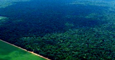 Fazenda Rural com 500ha em Vera/MT