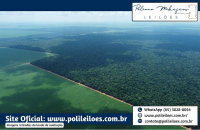 Fazenda Rural com 500ha em Vera/MT